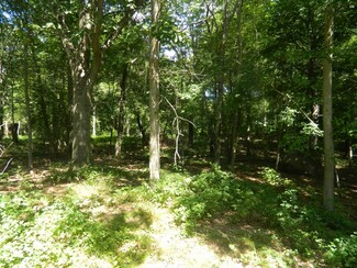 Plus de détails pour 184 Shore Rd, Old Lyme, CT - Terrain à vendre