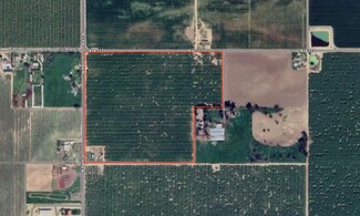 Plus de détails pour 27726 Palm Street, Pixley, CA - Terrain à vendre