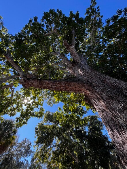 2019 Manatee Ave, Bradenton, FL à louer - Photo intérieure - Image 3 de 4