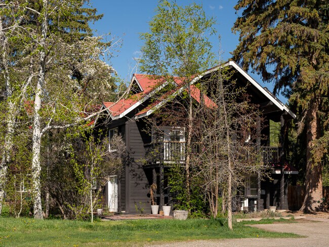 Plus de détails pour 416 N 1st Ave, Hailey, ID - Spécialité à vendre