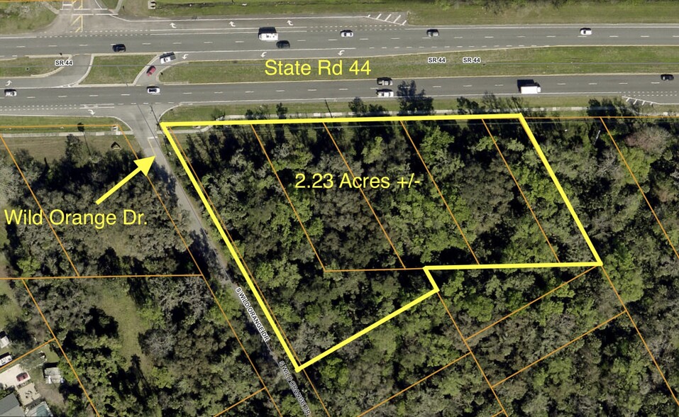 State Road 44, New Smyrna Beach, FL for sale - Building Photo - Image 1 of 1