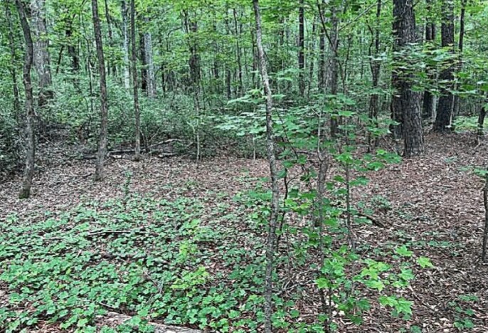 Jimmie Mayfield Blvd Fayetteville, GA 30215 United States, Fayetteville, GA à vendre - Autre - Image 3 de 16