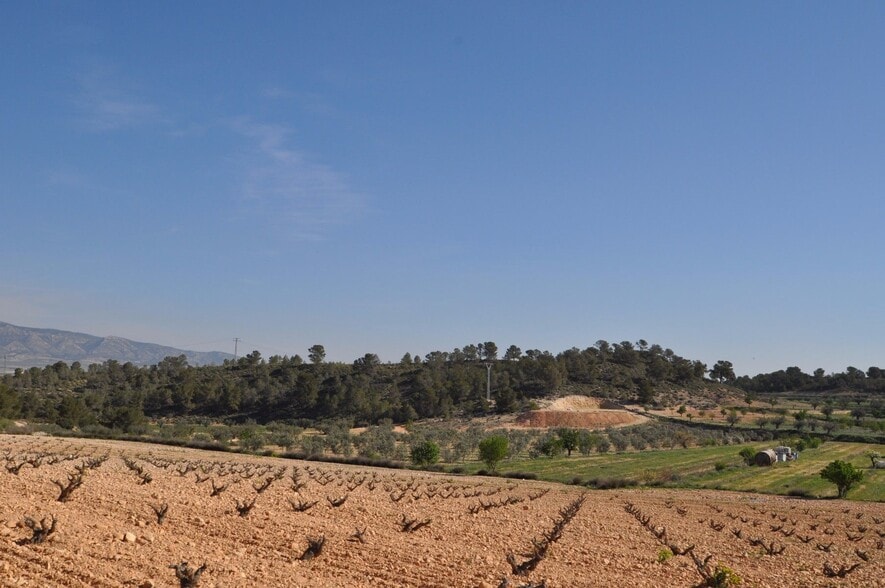 Terrain dans Jumilla, Murcia à vendre - Aérien - Image 1 de 16