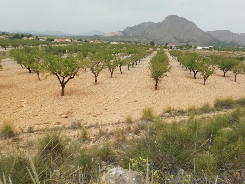 Terrain dans Orihuela, Alicante à vendre - Aérien - Image 3 de 3