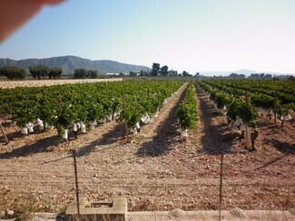 More details for Bascula, Novelda - Land for Sale