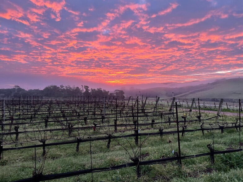 Biodynamic® Certified ±614 Acres portfolio of 2 properties for sale on LoopNet.ca - Building Photo - Image 3 of 15