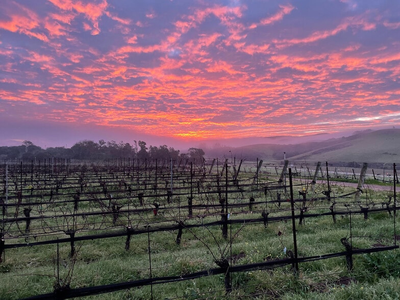 Biodynamic® Certified ±614 Acres portefeuille de 2 propriétés à vendre sur LoopNet.ca - Photo du bâtiment - Image 3 de 15