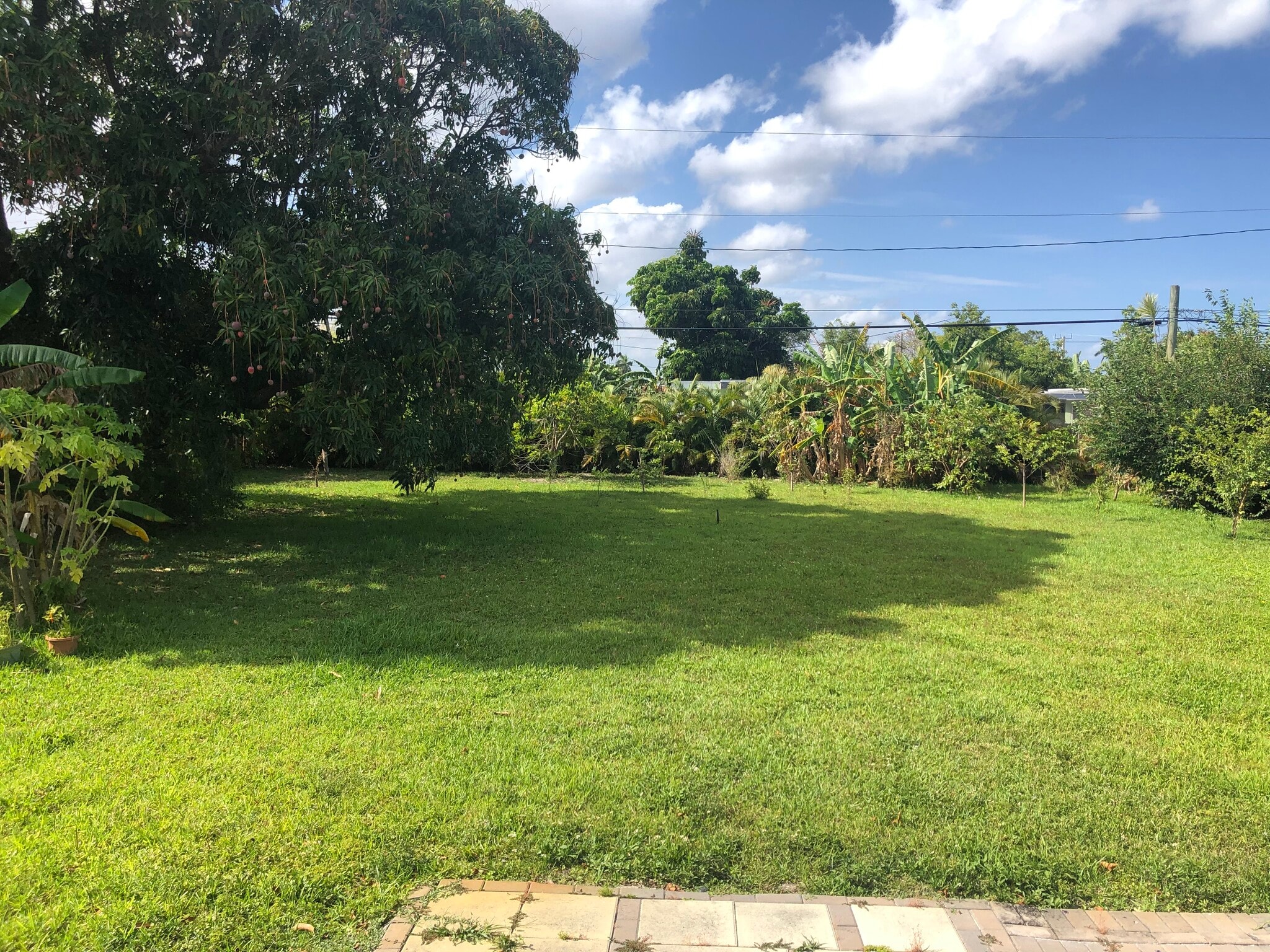 2815 Jackson St, Hollywood, FL for sale Primary Photo- Image 1 of 8
