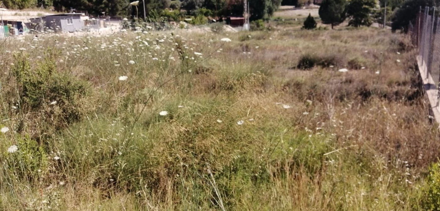 Land in Molina de Segura, Murcia for sale Site Plan- Image 1 of 9