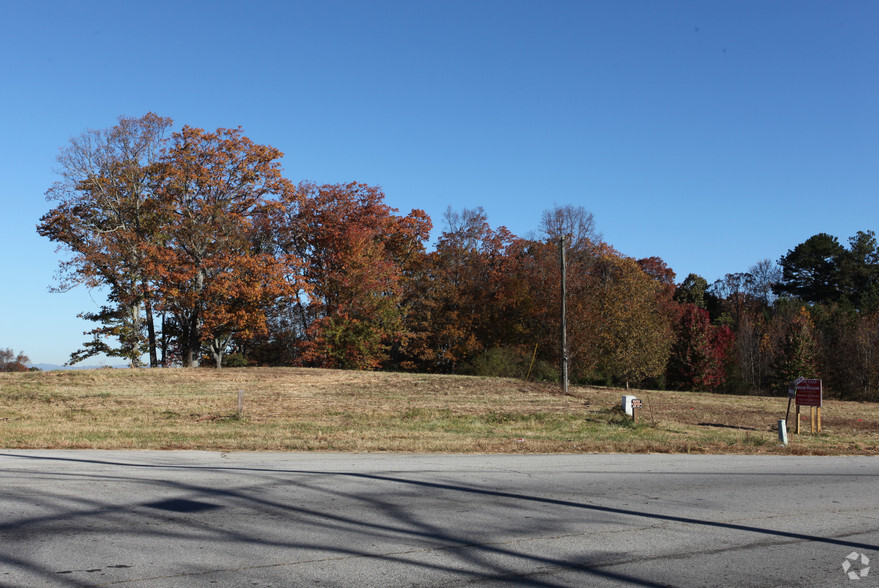 3720 Atlanta Hwy, Flowery Branch, GA for sale - Primary Photo - Image 1 of 1