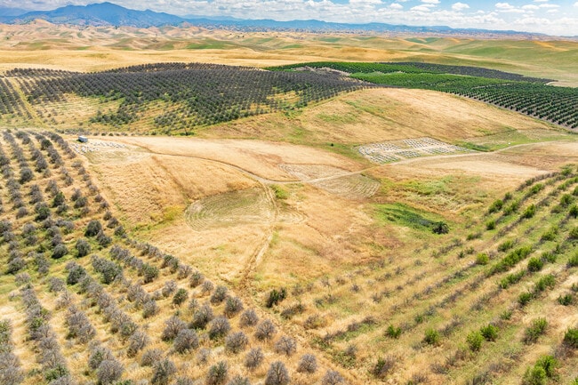 More details for 160 Acres of AG-Zoned Land – Land for Auction, Ducor, CA