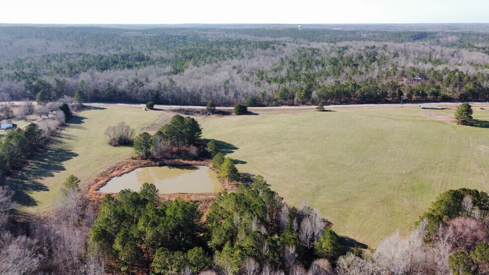 252 Parks Mill rd, Buckhead, GA à vendre - Aérien - Image 2 de 4