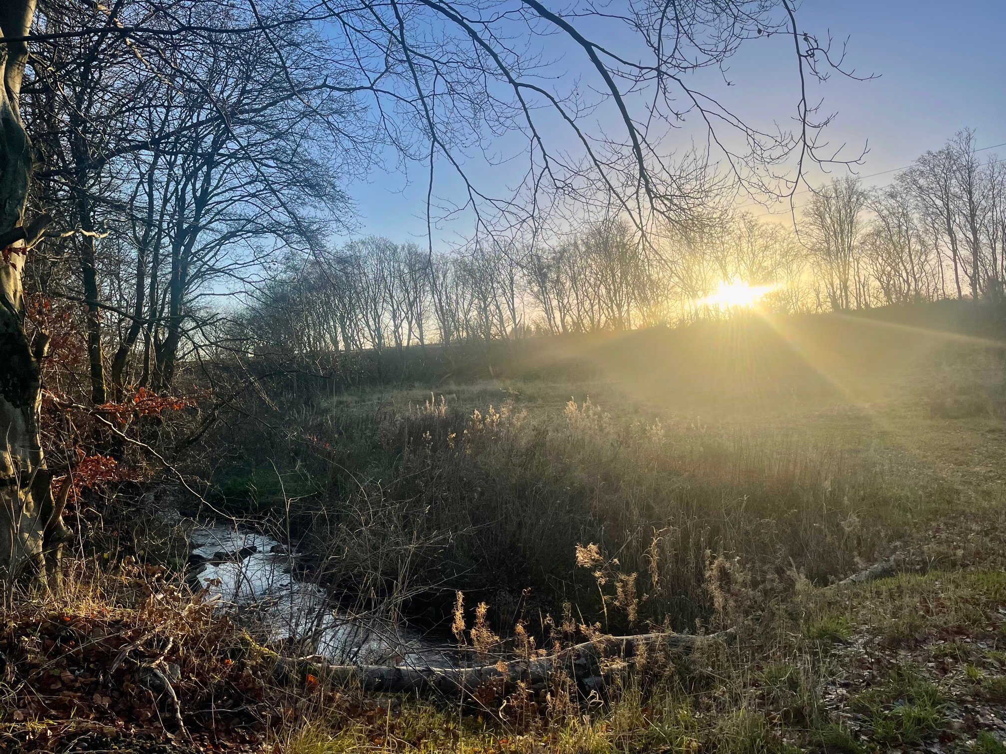 Blairadam, Kelty for sale Primary Photo- Image 1 of 1