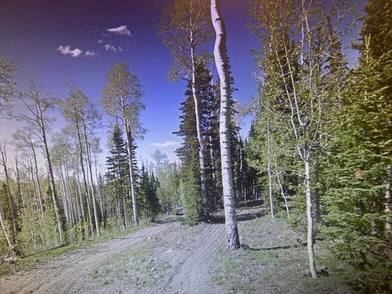 380 Forest Dr, Brian Head, UT for sale - Building Photo - Image 1 of 9