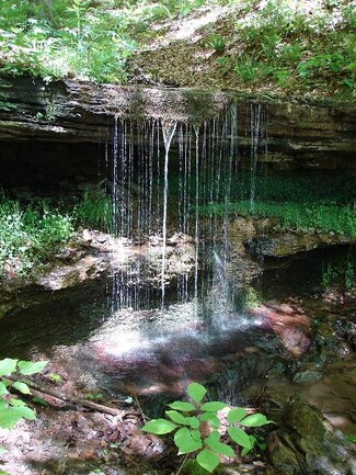 Plus de détails pour Songbird Ln, Green Sulphur Springs, WV - Terrain à vendre