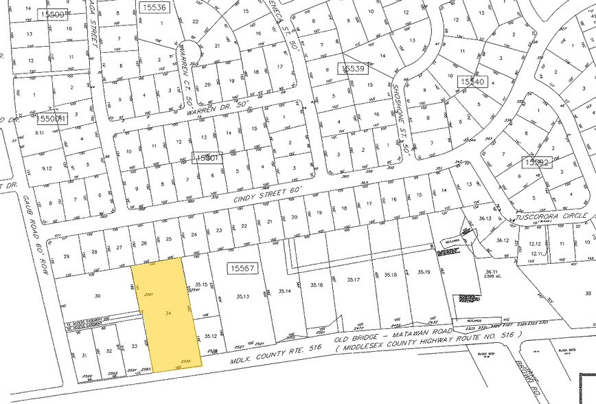 2541-2581 County Rd 516, Old Bridge, NJ à louer - Plan cadastral - Image 2 de 11