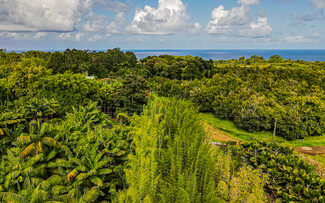 More details for 27-2760 Hawaii Belt Rd, Pepeekeo, HI - Land for Sale