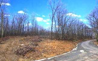 More details for 3101 W Teter Creek Rd, Belington, WV - Land for Sale