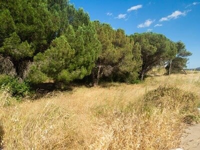 Carrer dels Boters, 25, L'Escala, Gerona for sale - Building Photo - Image 3 of 3