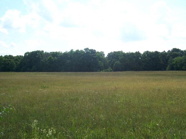 0 Pleasant School Rd, Gaffney, SC for sale Primary Photo- Image 1 of 1