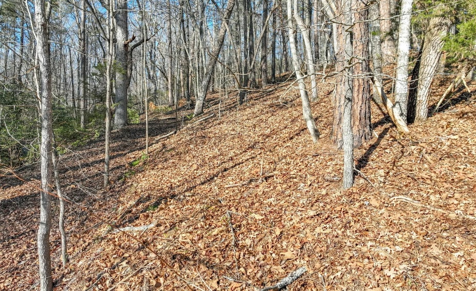 9384 Skitts Mountain Dr, Lula, GA for sale - Building Photo - Image 2 of 9