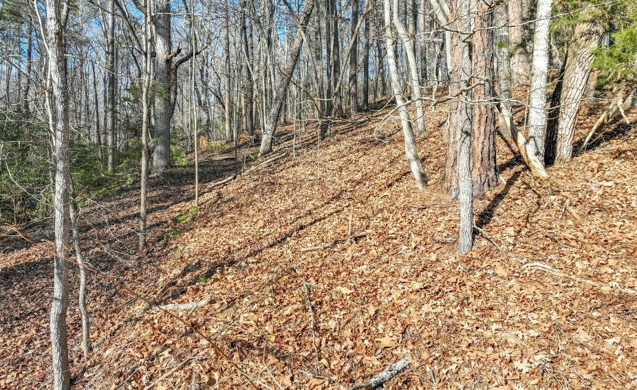 9384 Skitts Mountain Dr, Lula, GA à vendre - Photo du bâtiment - Image 2 de 9