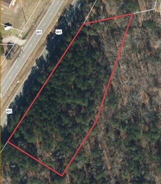 Plus de détails pour 9620 Fayetteville Rd, Raleigh, NC - Terrain à vendre