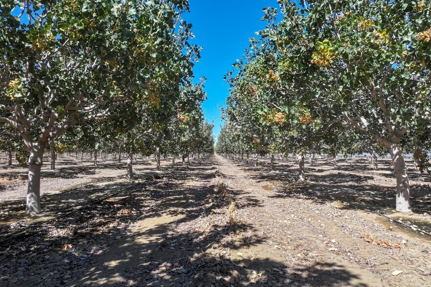 Quebec -1, Kettleman City, CA for sale - Building Photo - Image 2 of 12