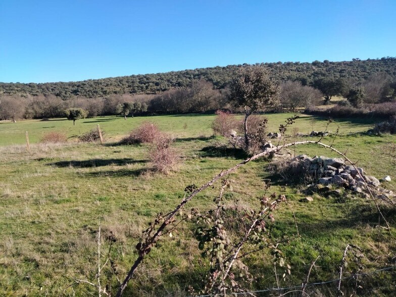 Terrain dans Encina de San Silvestre, Salamanca à louer - Plan de site - Image 3 de 5