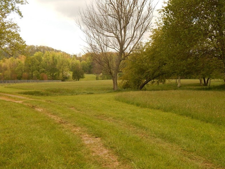 000 Plott Creek Rd, Waynesville, NC à vendre - Photo du b timent - Image 1 de 1