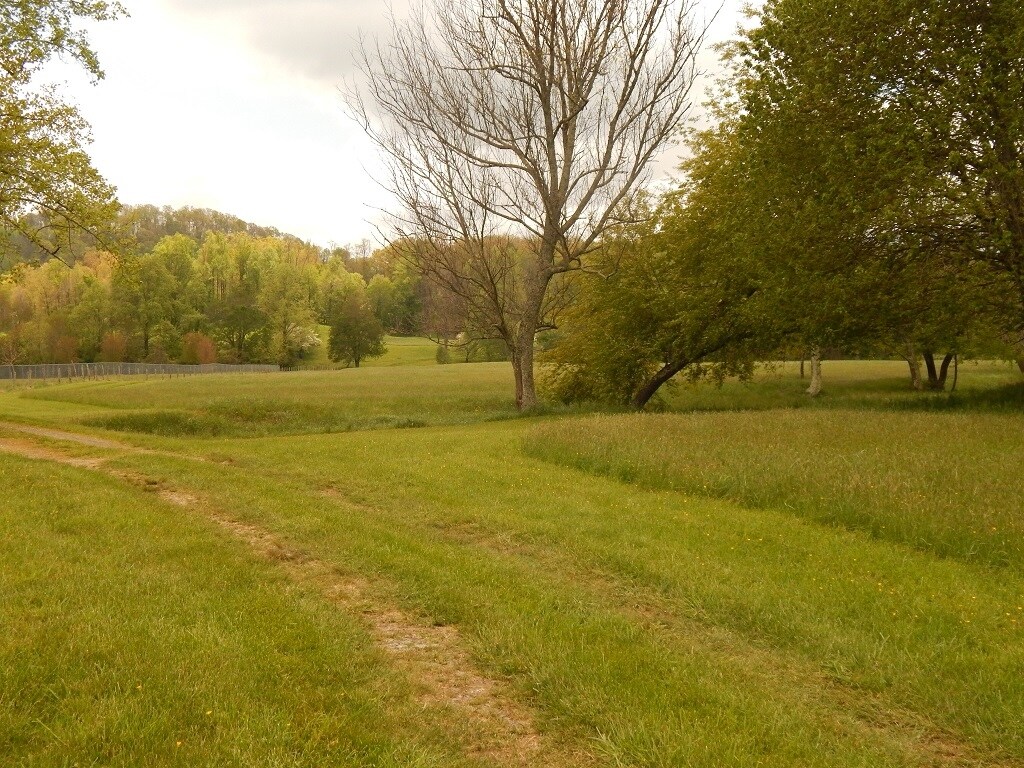 000 Plott Creek Rd, Waynesville, NC à vendre Photo du b timent- Image 1 de 1