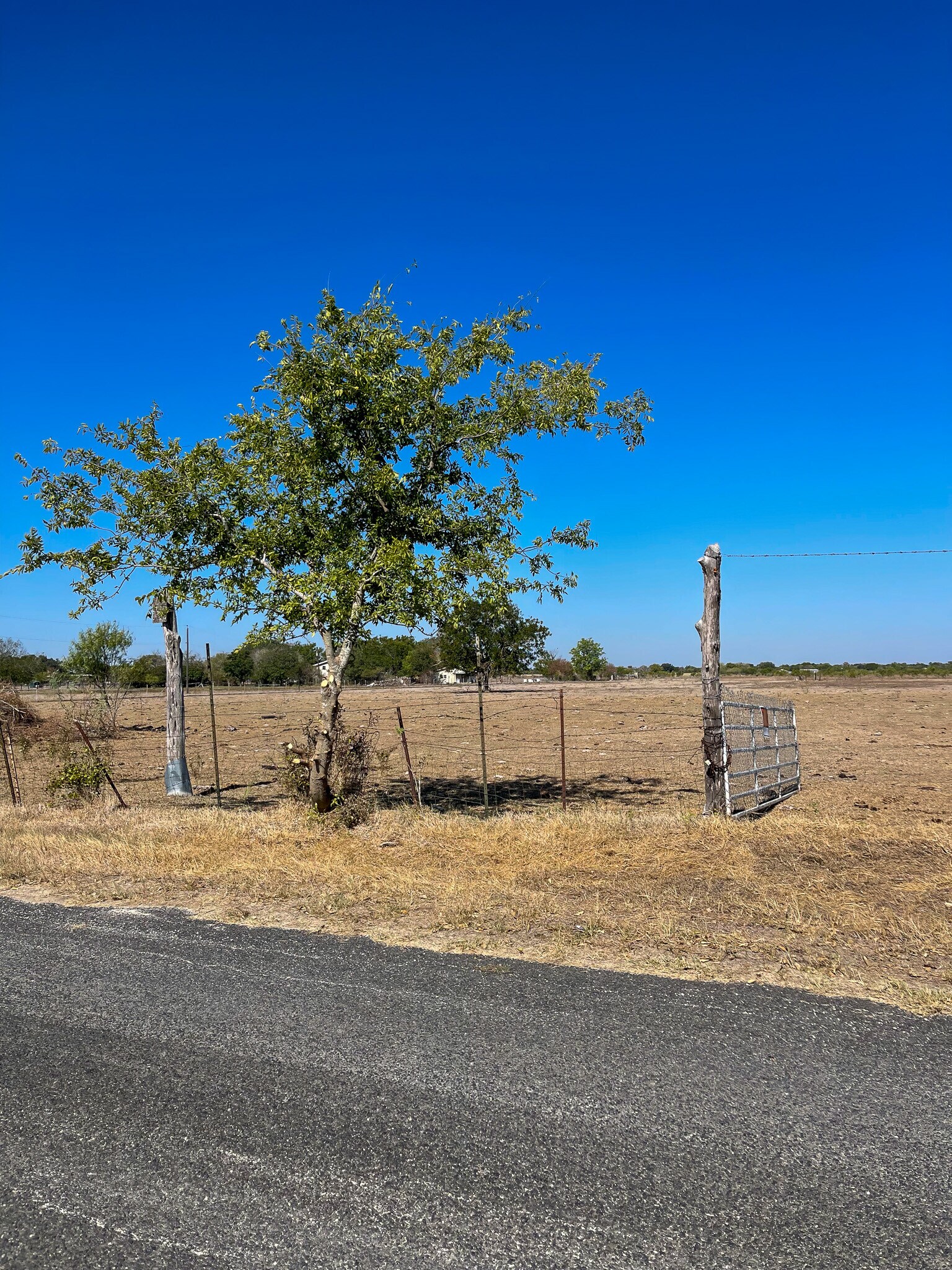 FARGOER WAY, Marion, TX for sale Other- Image 1 of 1