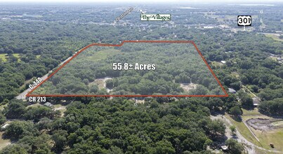 SEC CR 213 & CR 44a, Wildwood, FL - Aerial  map view - Image1