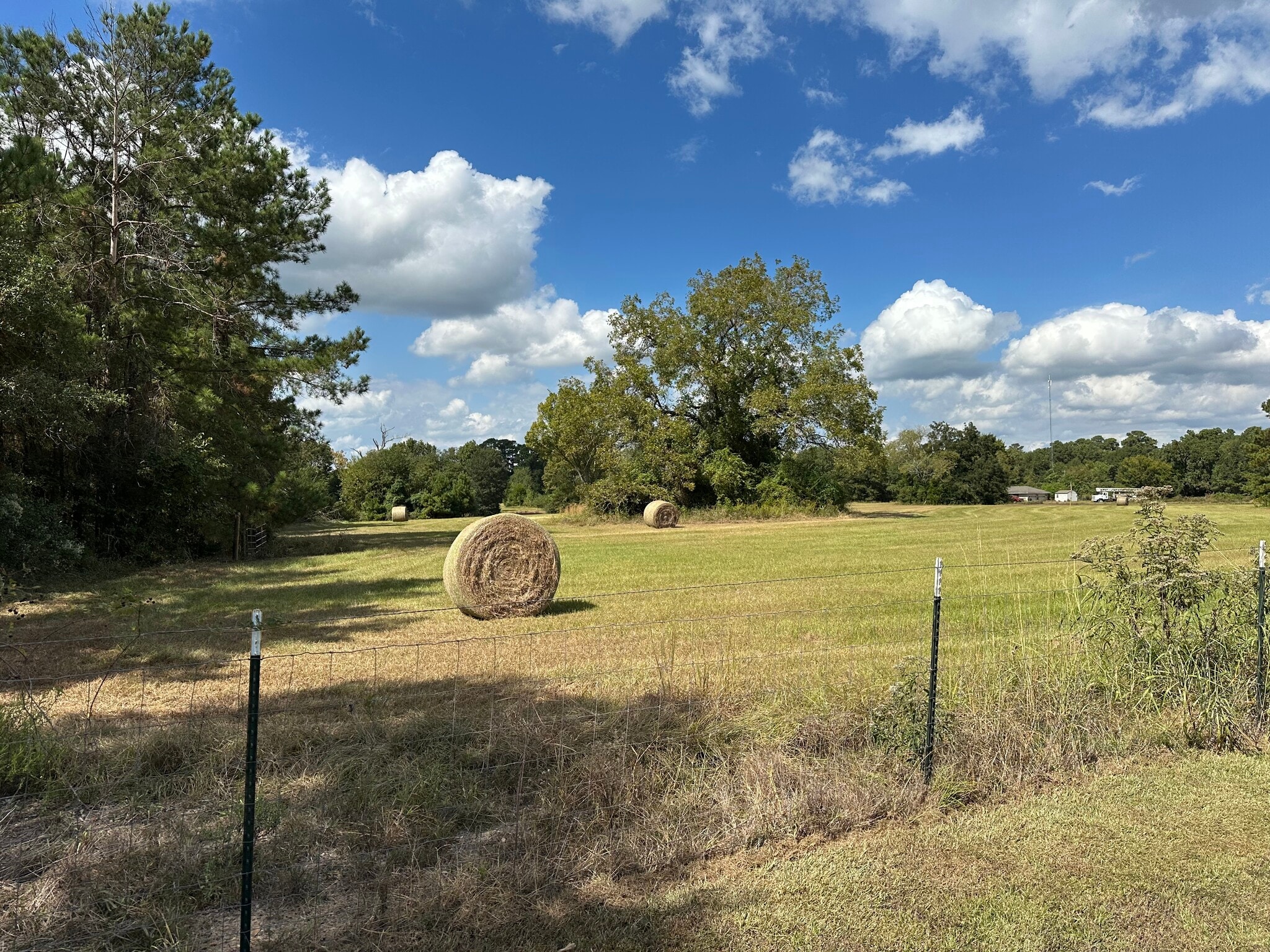 11 AC West Danville Road, Willis, TX for sale Building Photo- Image 1 of 9