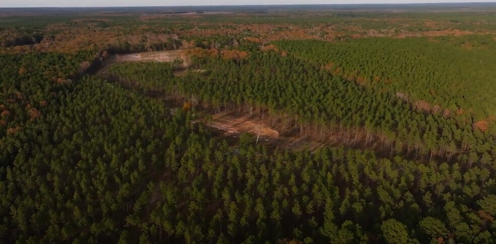 480 Martin Rd, Cotton Valley, LA for sale - Primary Photo - Image 1 of 52