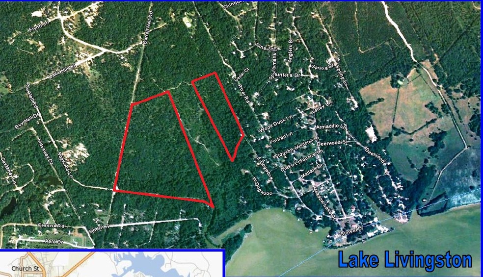 Lake Livingston, Trinity, TX for sale - Building Photo - Image 1 of 1