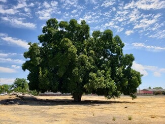 Plus de détails pour 3740 Walnut Blvd, Brentwood, CA - Terrain à vendre