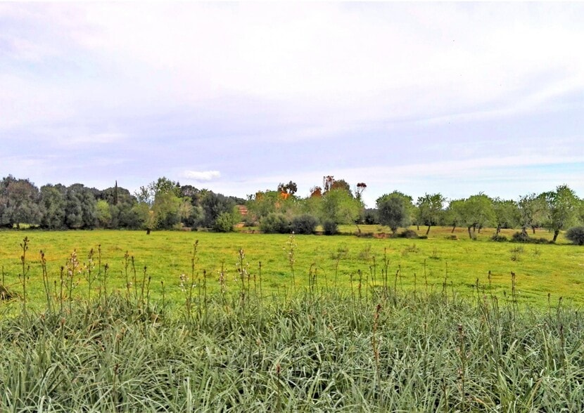 Land in Campos, Islas Baleares for sale - Aerial - Image 2 of 2