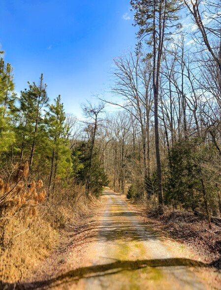 2061 Cross Keys Hwy, Union, SC à vendre - Photo du bâtiment - Image 2 de 8