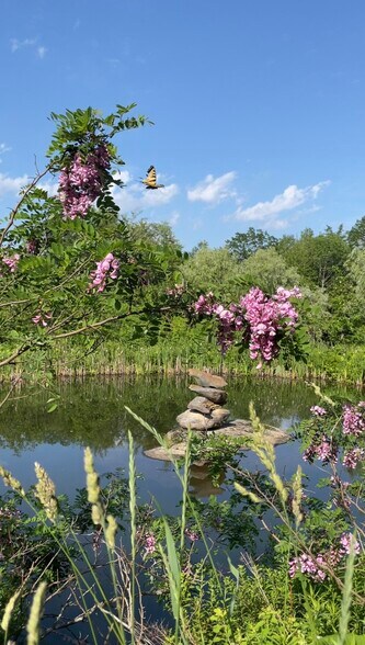 218 Streeter Woods Rd, Dorchester, NH for sale - Other - Image 3 of 46