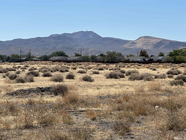 Plus de détails pour Idaho St, Silver Springs, NV - Terrain à vendre
