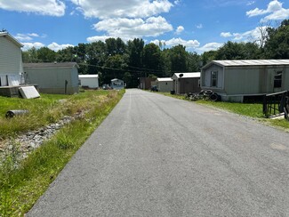 Plus de détails pour 187 Loomis Rd, Liberty, NY - Multi-résidentiel à vendre