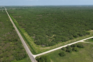 More details for 160 S County Road 1040, Kingsville, TX - Land for Sale
