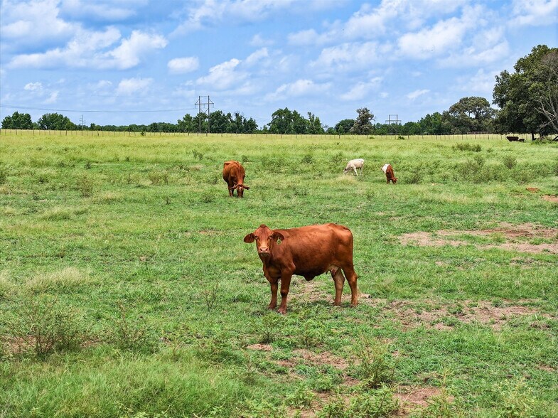 Tract 2 FM 855, Jacksonville, TX à vendre - Photo du bâtiment - Image 3 de 19