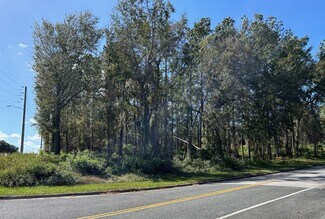 Plus de détails pour SW SR-47, Lake City, FL - Terrain à vendre