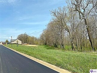 Plus de détails pour Sawgrass Ave, Vine Grove, KY - Terrain à vendre