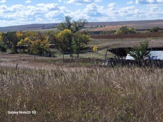 More details for 29392 239th St, Vivian, SD - Land for Sale