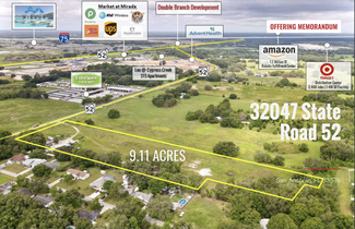 Plus de détails pour 32047 State Road 52, San Antonio, FL - Terrain à vendre