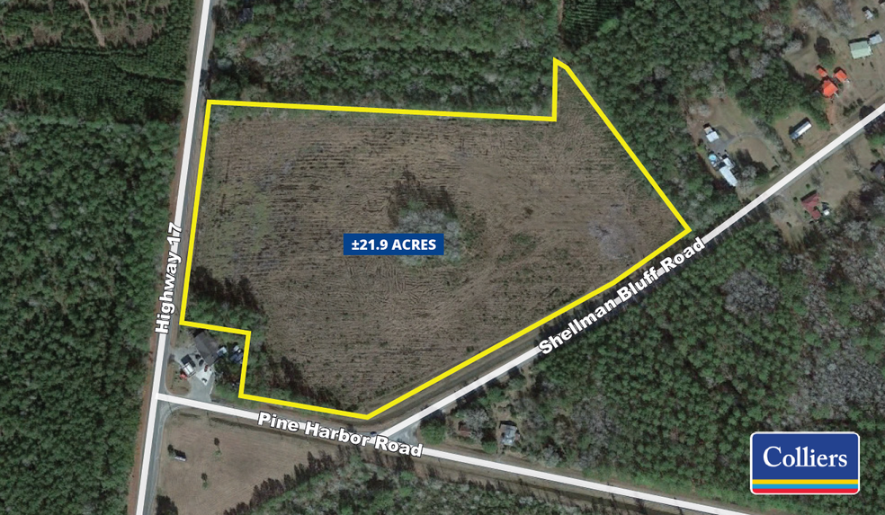 00 Shellman Bluff Rd, Shellman Bluff, GA for sale - Building Photo - Image 1 of 1