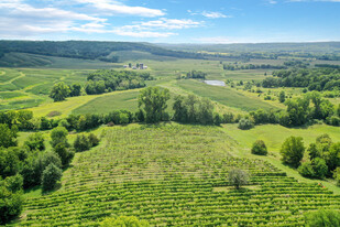 Rocky Waters Winery and Vineyard - Vignoble